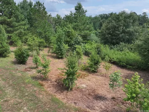 tbd Ebenezer Rd, Amity, AR 71921 photo 12