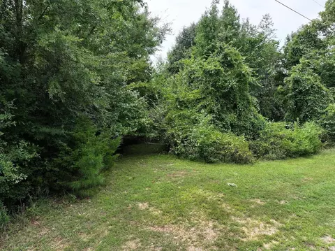 tbd Ebenezer Rd, Amity, AR 71921 photo 21