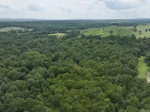 tbd Ebenezer Rd, Amity, AR 71921 photo 16