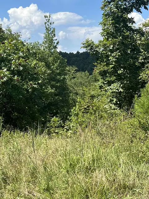 Nn John Ashley, Amity, AR 71921 photo 3