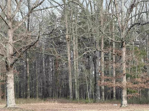 0 Mcdaniel, White Hall, AR 71602 photo 3