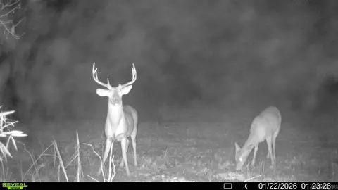 00 Cr 415 County Rd 415, Widener, AR 72335