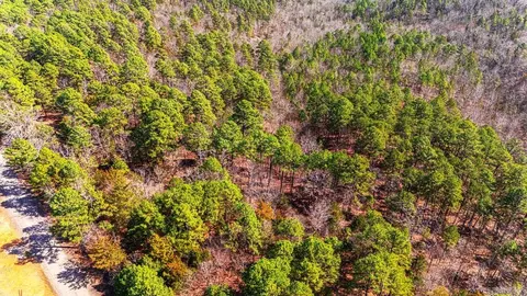 225 Ledwedge Rd, Bigelow, AR 72016 photo 18