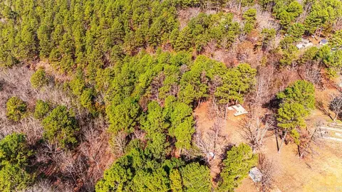 225 Ledwedge Rd, Bigelow, AR 72016 photo 3