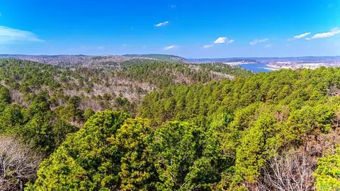 225 Ledwedge Rd, Bigelow, AR 72016 photo 20