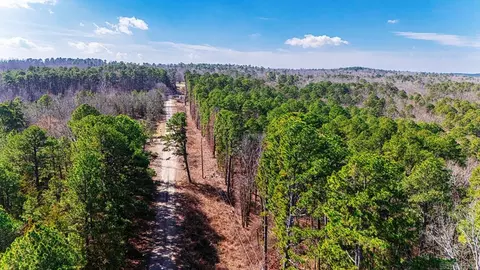 225 Ledwedge Rd, Bigelow, AR 72016 photo 9