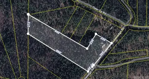 225 Ledwedge Rd, Bigelow, AR 72016 photo 21