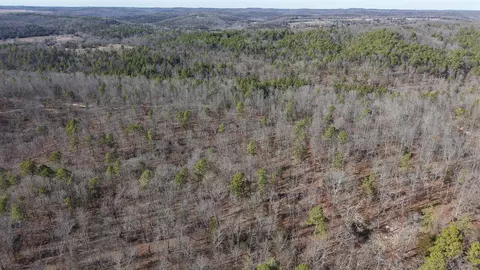 120 Campground Rd # A, Wideman, AR 72585 photo 23
