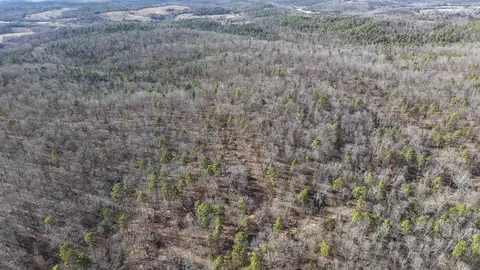 120 Campground Rd # A, Wideman, AR 72585 photo 24