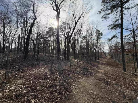 120 Campground Rd # A, Wideman, AR 72585 photo 21
