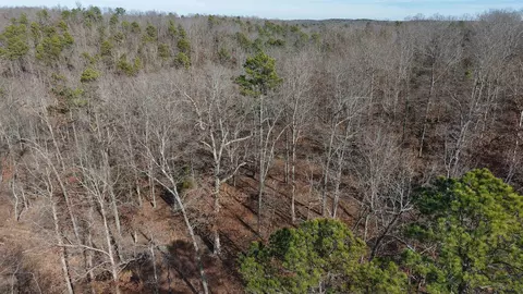 120 Campground Rd # A, Wideman, AR 72585 photo 2