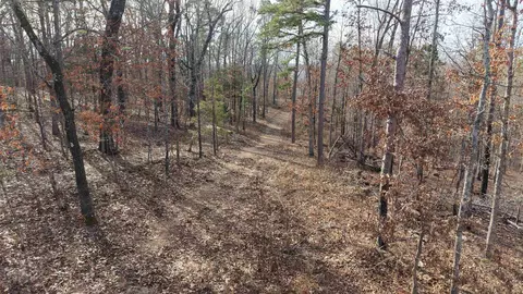 120 Campground Rd # A, Wideman, AR 72585 photo 12