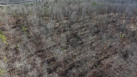 120 Campground Rd # A, Wideman, AR 72585 photo 8