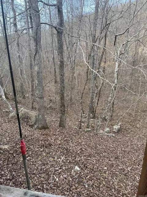 Other - 278 Quadrant Dr, Marshall, AR 72650 photo 2 of 6
