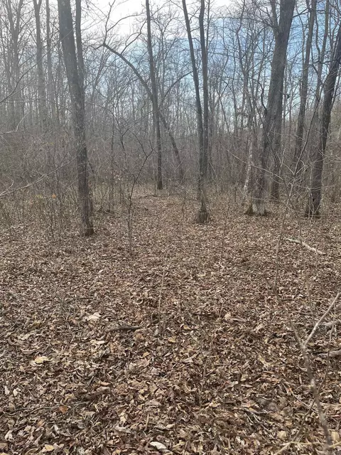 Other - 278 Quadrant Dr, Marshall, AR 72650 photo 1 of 6