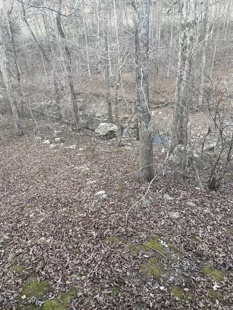 Exterior - 278 Quadrant Dr, Marshall, AR 72650 photo 2 of 3