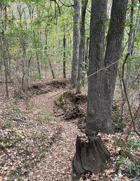 3 03 Acres County Road 389, Bono, AR 72416