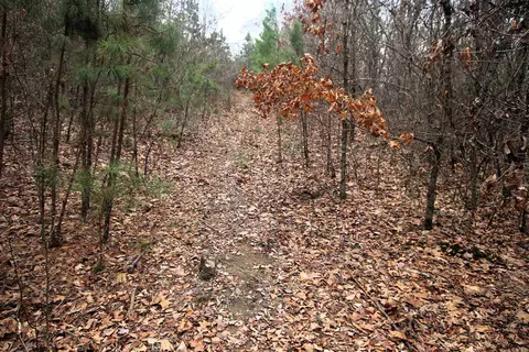 000 Jack Vaughn Rd, Clinton, AR 72031 photo 30