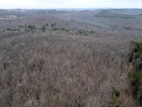 000 Jack Vaughn Rd, Clinton, AR 72031 photo 6