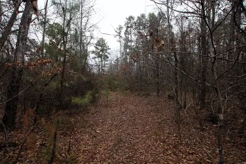000 Jack Vaughn Rd, Clinton, AR 72031 photo 29