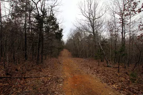 000 Jack Vaughn Rd, Clinton, AR 72031 photo 26
