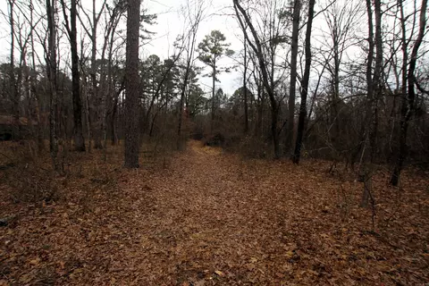 000 Jack Vaughn Rd, Clinton, AR 72031 photo 34