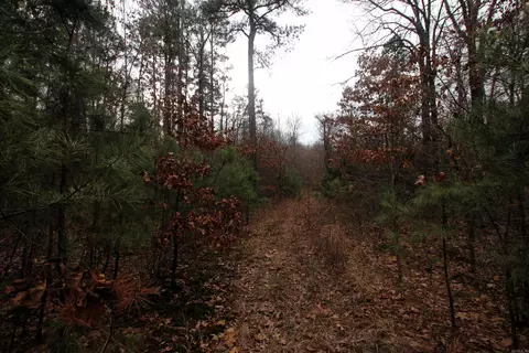 000 Jack Vaughn Rd, Clinton, AR 72031 photo 28