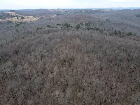 000 Jack Vaughn Rd, Clinton, AR 72031 photo 7
