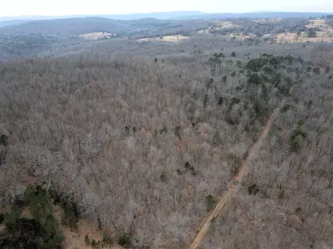 000 Jack Vaughn Rd, Clinton, AR 72031