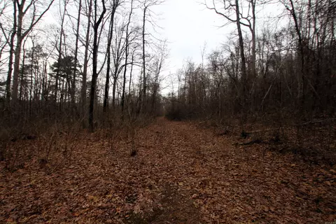 000 Jack Vaughn Rd, Clinton, AR 72031 photo 24