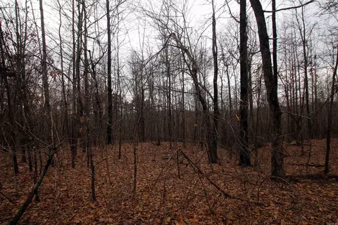 000 Jack Vaughn Rd, Clinton, AR 72031 photo 20