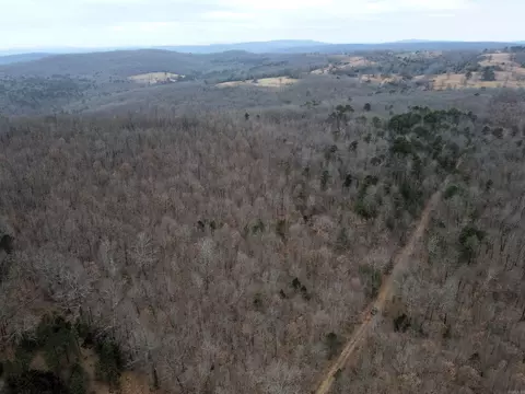 000 Jack Vaughn Rd, Clinton, AR 72031 photo 35