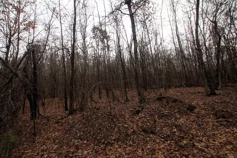000 Jack Vaughn Rd, Clinton, AR 72031 photo 22