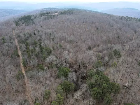 000 Jack Vaughn Rd, Clinton, AR 72031 photo 2