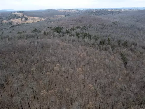 000 Jack Vaughn Rd, Clinton, AR 72031 photo 8