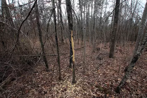 000 Jack Vaughn Rd, Clinton, AR 72031 photo 14