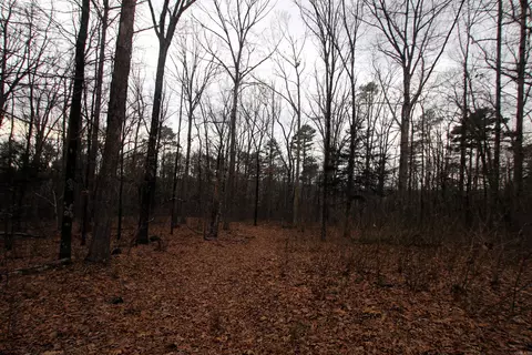 000 Jack Vaughn Rd, Clinton, AR 72031 photo 23