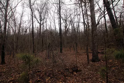 000 Jack Vaughn Rd, Clinton, AR 72031 photo 21