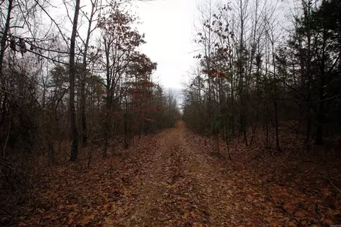 000 Jack Vaughn Rd, Clinton, AR 72031 photo 27