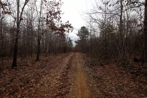 000 Jack Vaughn Rd, Clinton, AR 72031 photo 25