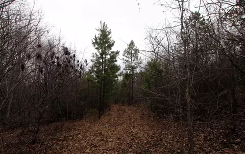 000 Jack Vaughn Rd, Clinton, AR 72031 photo 33