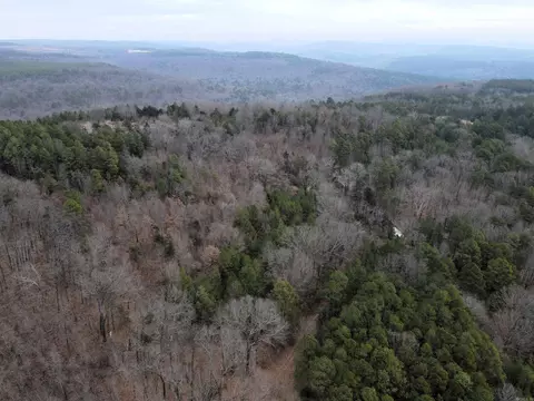 000 Jack Vaughn Rd, Clinton, AR 72031 photo 3