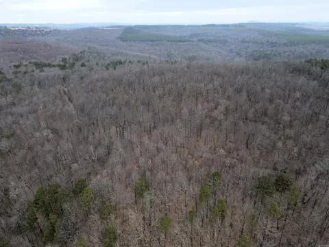 000 Jack Vaughn Rd, Clinton, AR 72031 photo 5
