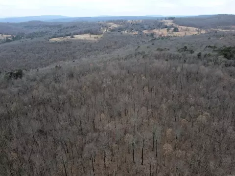 000 Jack Vaughn Rd, Clinton, AR 72031 photo 9