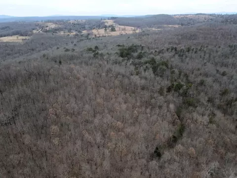 000 Jack Vaughn Rd, Clinton, AR 72031 photo 10