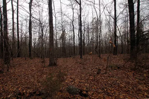 000 Jack Vaughn Rd, Clinton, AR 72031 photo 18