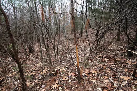 000 Jack Vaughn Rd, Clinton, AR 72031 photo 32