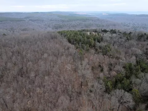 000 Jack Vaughn Rd, Clinton, AR 72031 photo 4