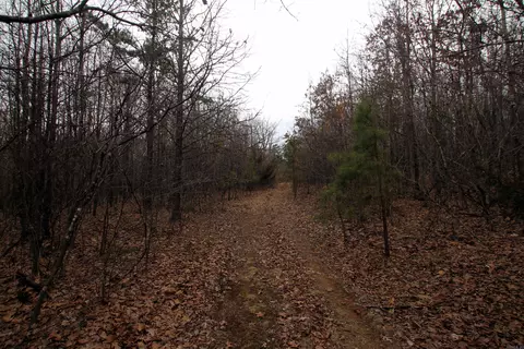 000 Jack Vaughn Rd, Clinton, AR 72031 photo 16
