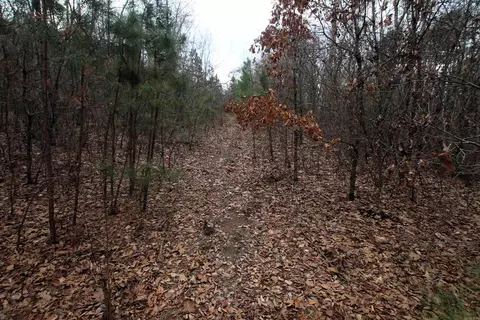 000 Jack Vaughn Rd, Clinton, AR 72031 photo 31